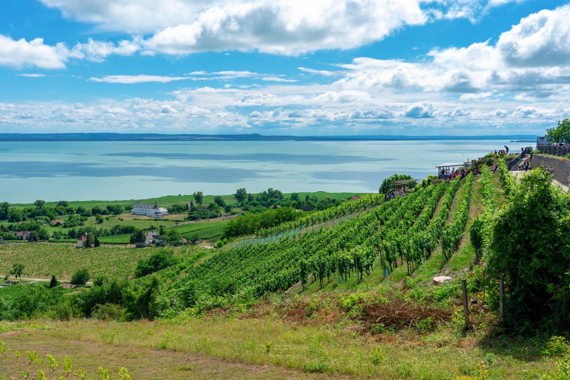 Lake Side Luxury-Steps To The Lake Lela - Happy Rentals Balatonlelle Exterior foto